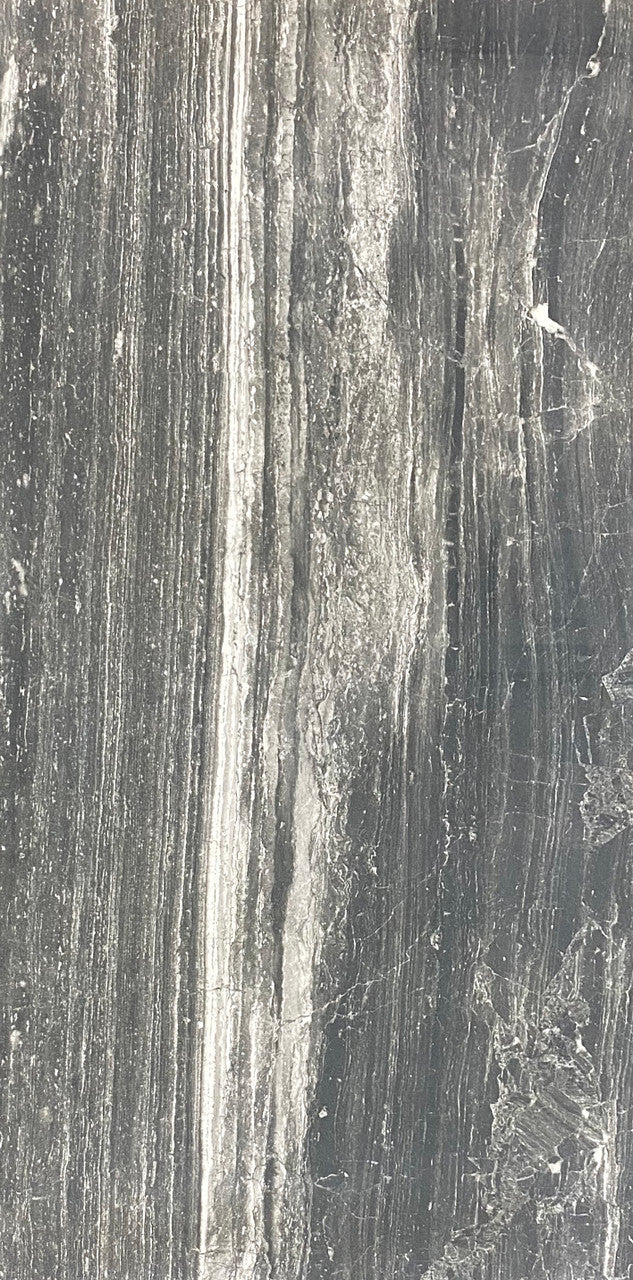 Merci 24"x48" - Petrified Wood