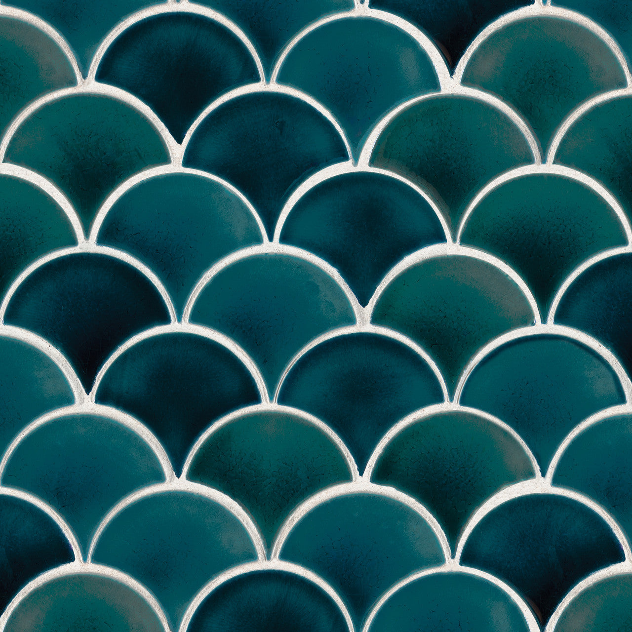 Seashell - Blue Nile